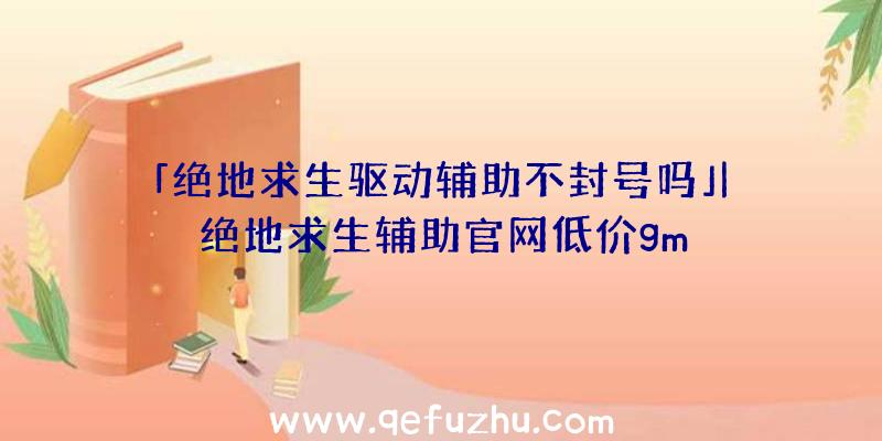 「绝地求生驱动辅助不封号吗」|绝地求生辅助官网低价gm